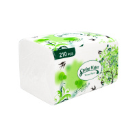 GT Салфетки бумажные 2-х слойные для быта Spring Water 210л.