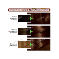 Garnier Крем-краска для волос Color Naturals тон 4.3 золотистый каштан 155 г